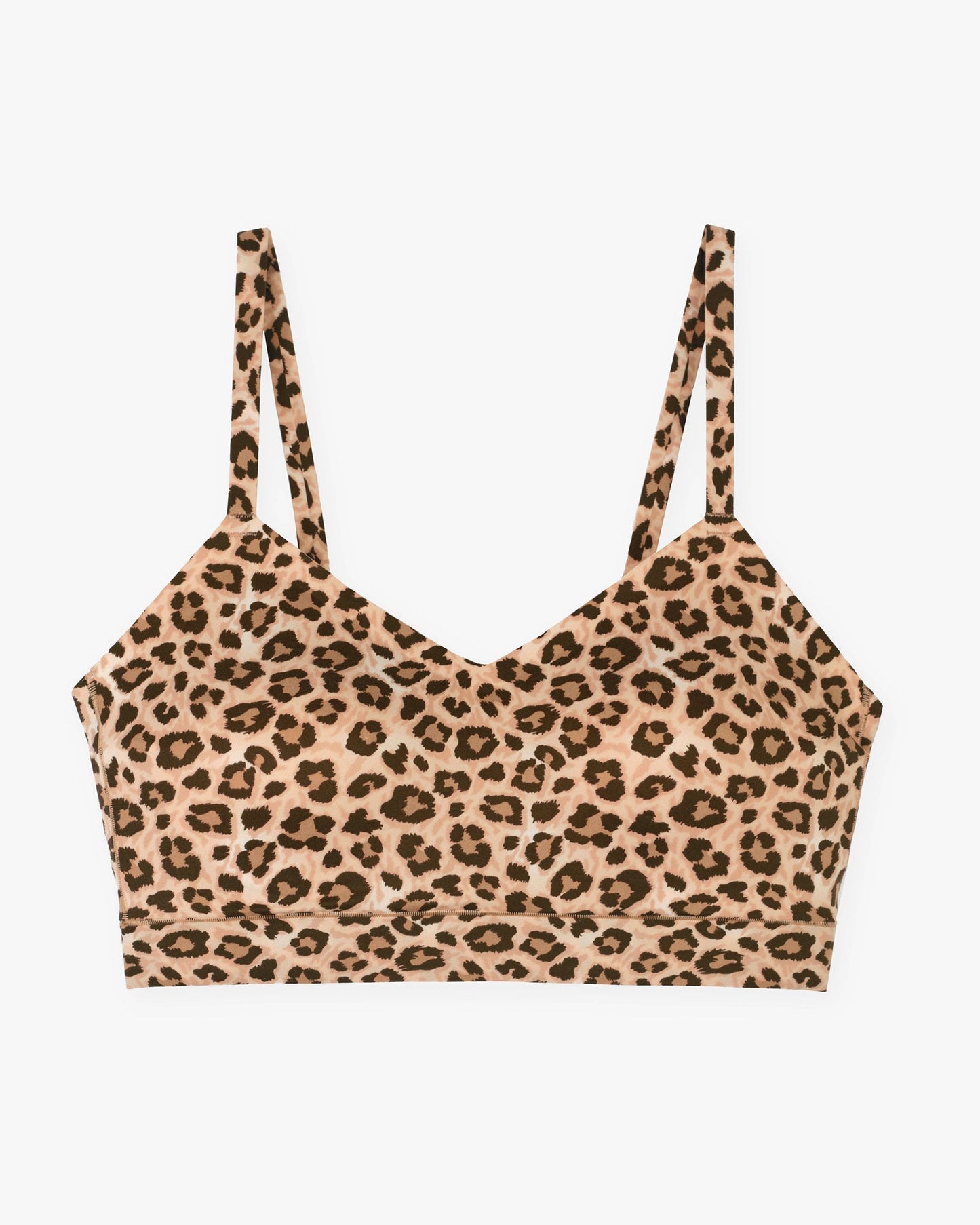 (Leopard)