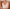 Floatley Cozy Wireless Plunge Bra